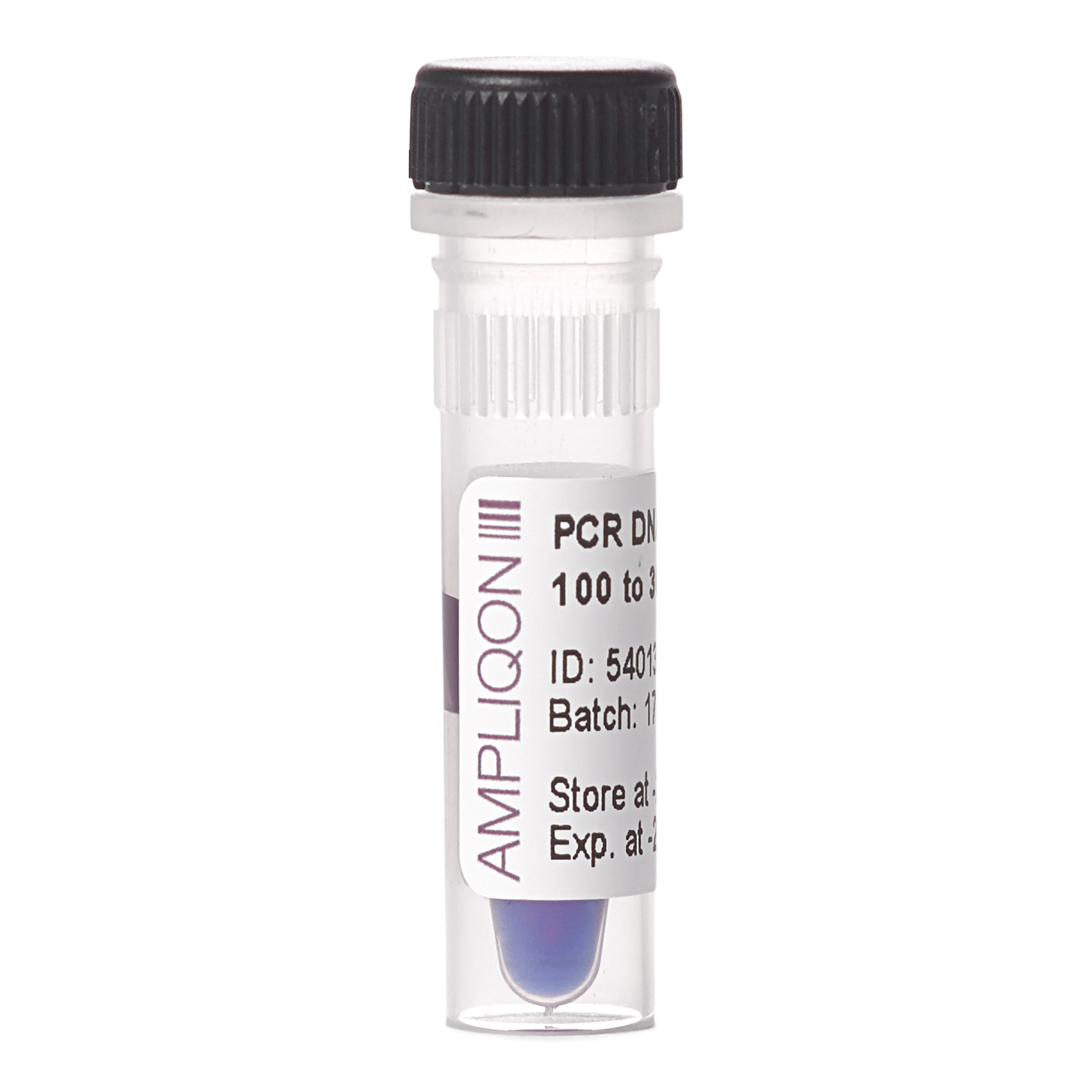 PCR DNA Ladder