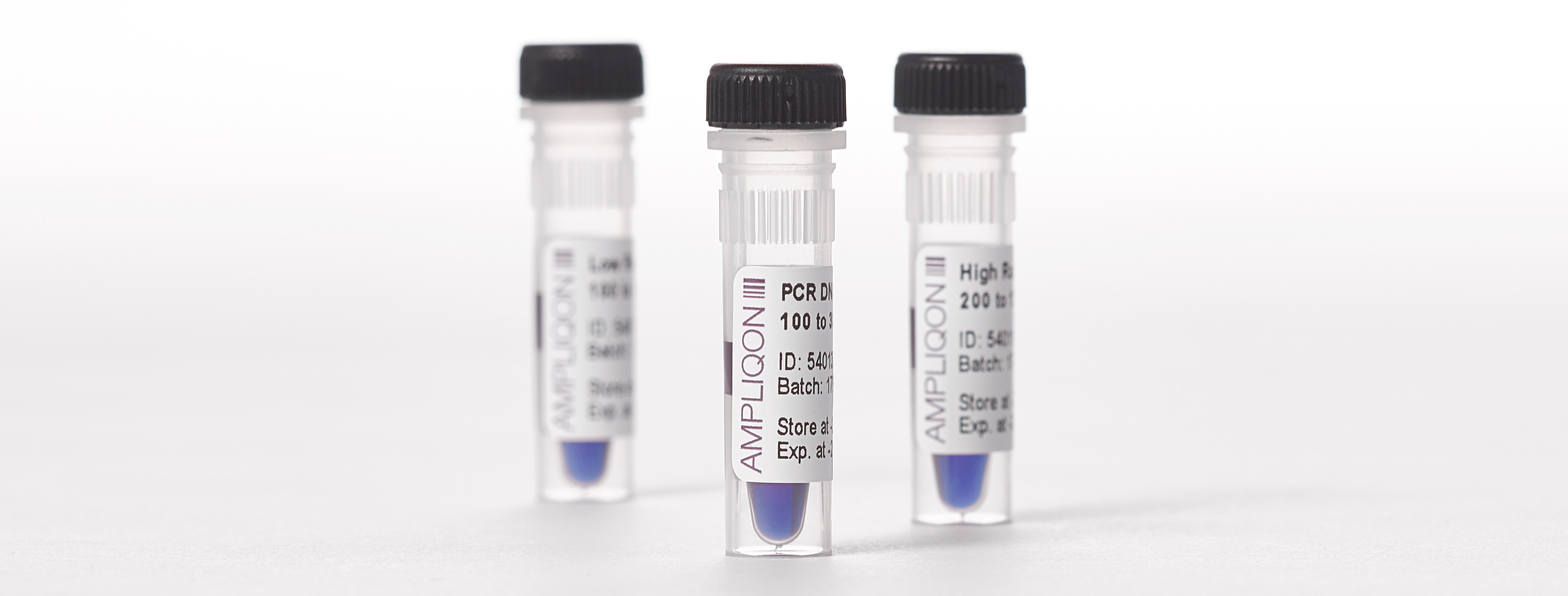 PCR Ladders